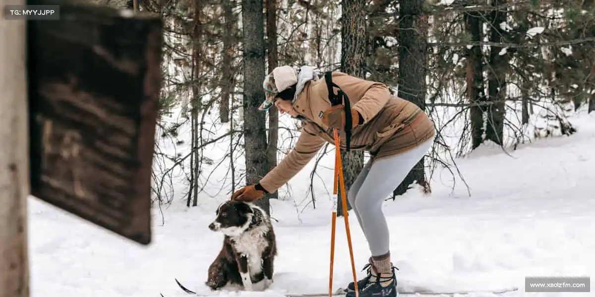 <strong>10大免费网站推广入口入口</strong>用光影编织时代故事，让每帧画面都藏着滚烫热爱✨